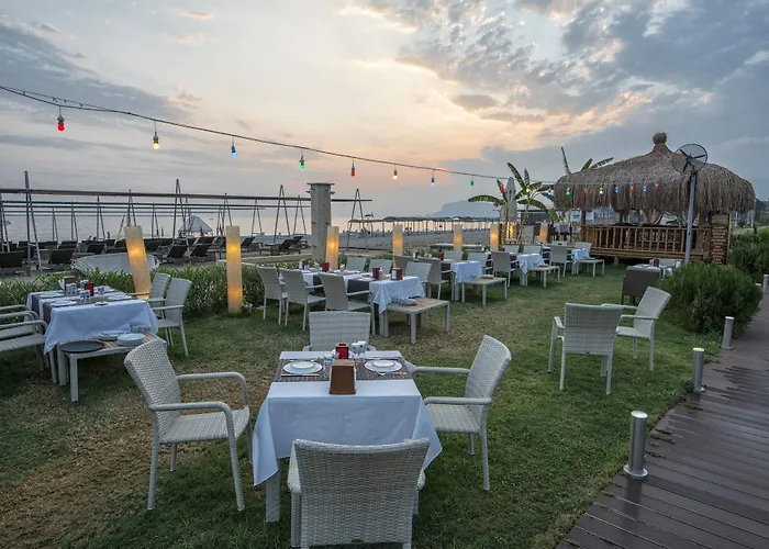 Michell (adults Only) 5*